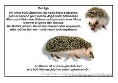 Der-Igel.pdf